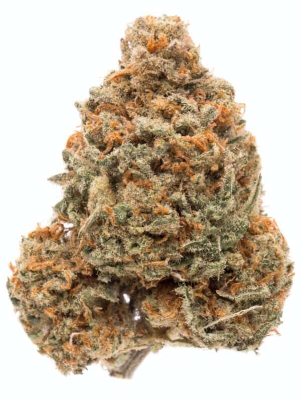 ACDC Strain