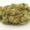 Sour Diesel sativa