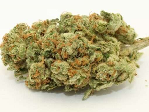 Sour Diesel sativa